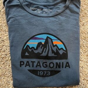 Patagonia Organic Cotton Tee in Gray